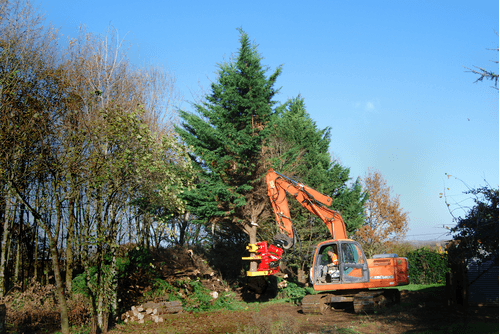 Matériel forestier - Autres matériels forestiers - Grappin XYLOCUT - XYLOGRIP