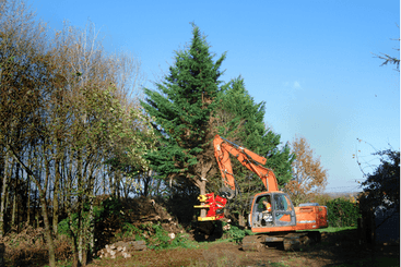 Matériel forestier - Autres matériels forestiers - Grappin XYLOCUT - XYLOGRIP
