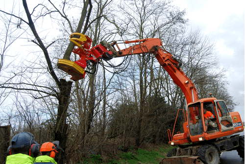 Matériel forestier - Autres matériels forestiers - Grappin XYLOCUT - XYLOGRIP