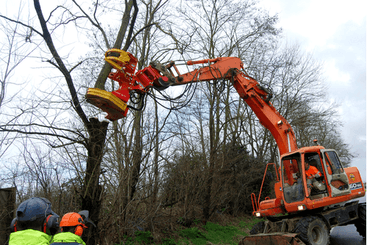 Matériel forestier - Autres matériels forestiers - Grappin XYLOCUT - XYLOGRIP