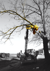 Matériel forestier - Autres matériels forestiers - Grappin XYLOCUT - XYLOGRIP