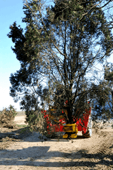Matériel forestier - Autres matériels forestiers - Grappin XYLOCUT - XYLOGRIP