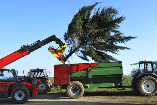 Matériel forestier - Autres matériels forestiers - Grappin XYLOCUT - XYLOGRIP