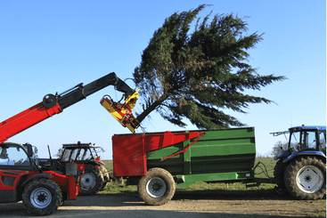 Matériel forestier - Autres matériels forestiers - Grappin XYLOCUT - XYLOGRIP