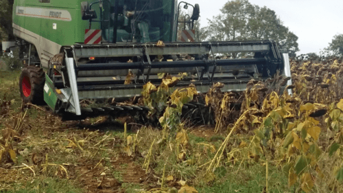 25 - Fenaison - Consommables récolte - Kit plateau à tournesol 6.10 M