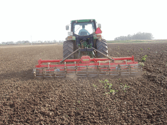 45 - Pièces d'usure et travail du sol - Divers - Fraise rotative à lames équerre AM-F