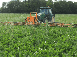42 - Nettoyeur Haute Pression, Aspirateur, compresseurs, outils pneumatique - Entretien - Ecimeuse SELAC
