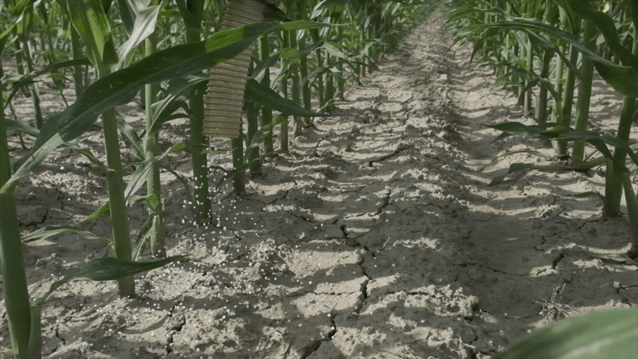 27 - Fertilisation, épandage - Distributeurs d'engrais - Distributeur d'engrais inter-rangs SPANDI