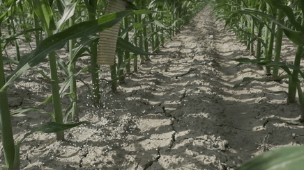 27 - Fertilisation, épandage - Distributeurs d'engrais - Distributeur d'engrais inter-rangs SPANDI
