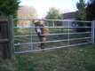 21 - Elevage - Matériel - Barrière herbage ECO emboîtée 4/5M